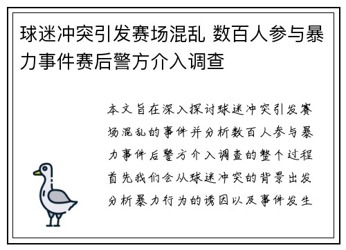 球迷冲突引发赛场混乱 数百人参与暴力事件赛后警方介入调查