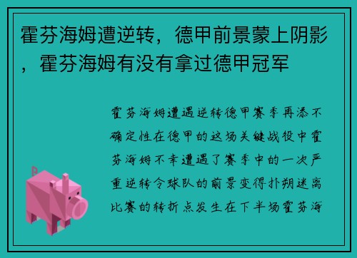 霍芬海姆遭逆转，德甲前景蒙上阴影，霍芬海姆有没有拿过德甲冠军